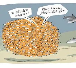 Cartoon: Fischschwarm – Schwarmintelligenz