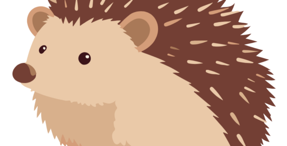 Igel Gruppe