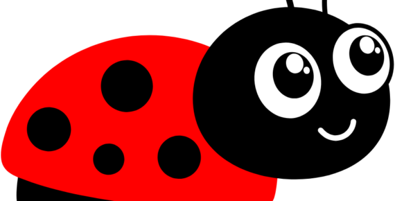 Käfer Gruppe
