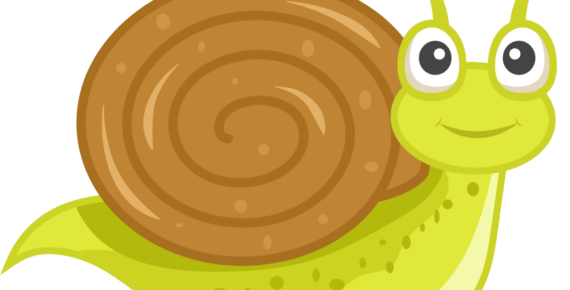 Schnecken Gruppe